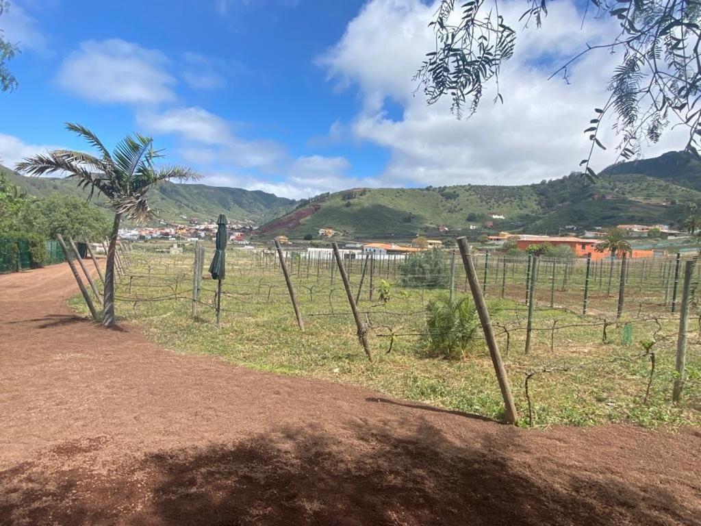 Casita entre Viñedos, Experiencia Rural, Ideal niños. Tegueste Exterior foto
