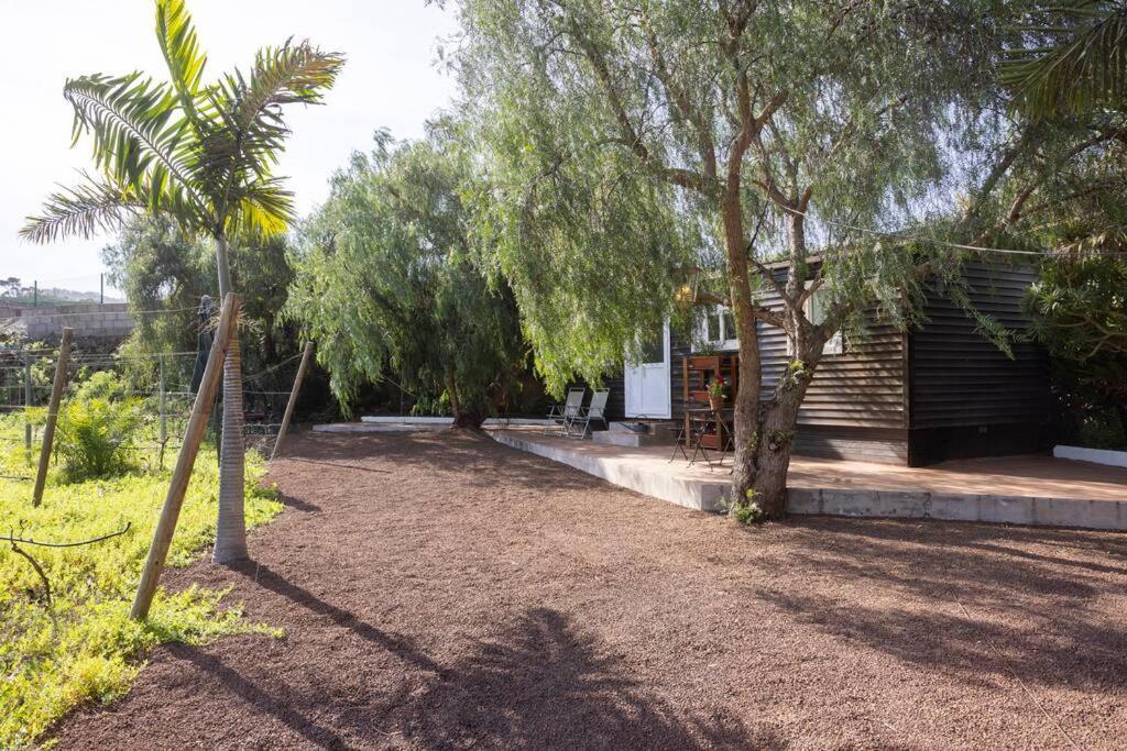 Casita entre Viñedos, Experiencia Rural, Ideal niños. Tegueste Exterior foto